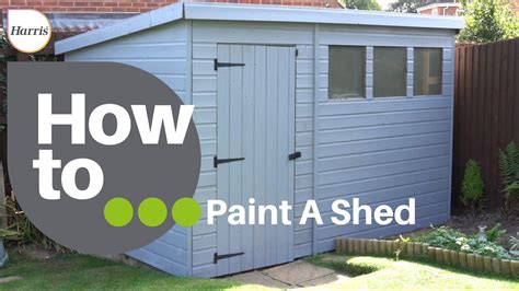 Can You Store Paint in a Shed? And Why Do Sheds Always Smell Like Forgotten Dreams?