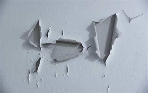 How to Fix Peeled Paint on Wall: A Symphony of Chaos and Order