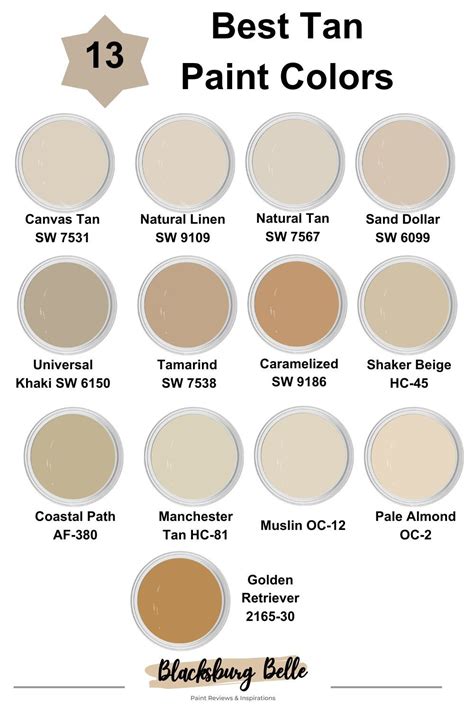 What Colors Make Tan Paint: A Journey Through the Spectrum of Beige