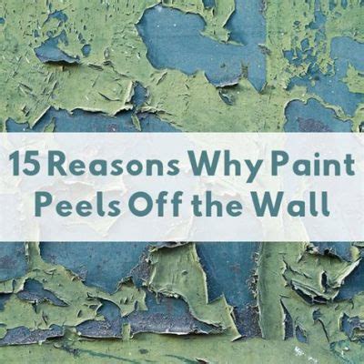 Why is paint peeling off, and does it secretly yearn for freedom?